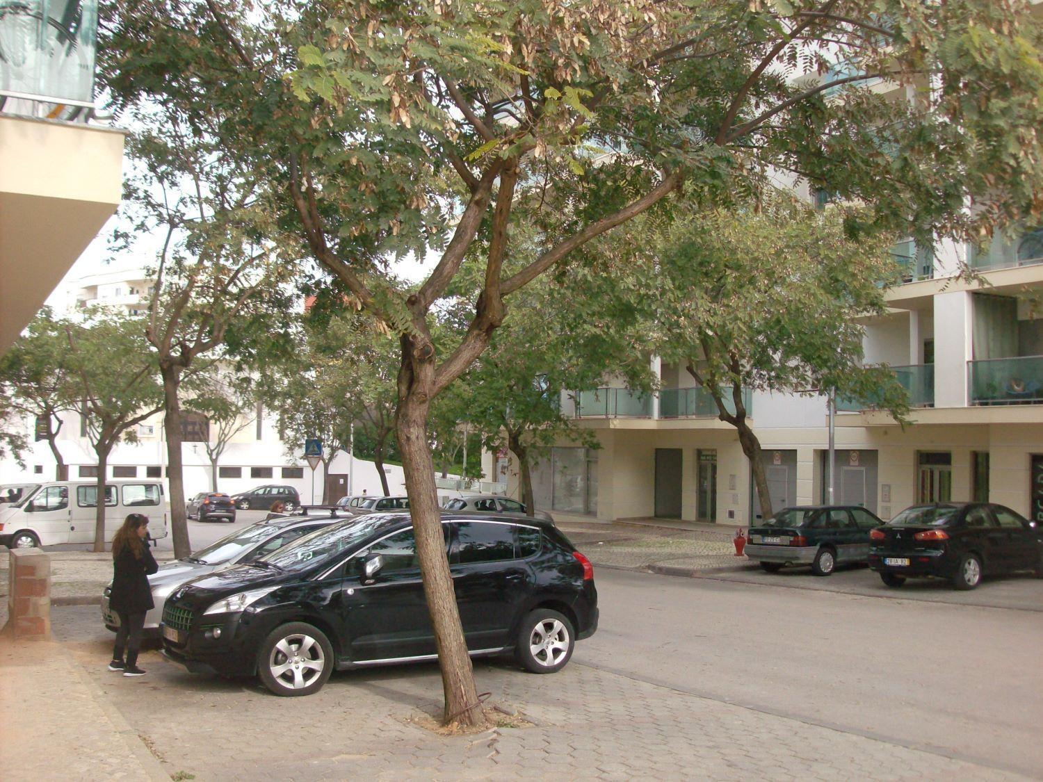 Appartement Pinheiro 波尔蒂芒 外观 照片